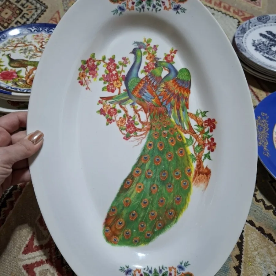 دو عدد دیس ملامین