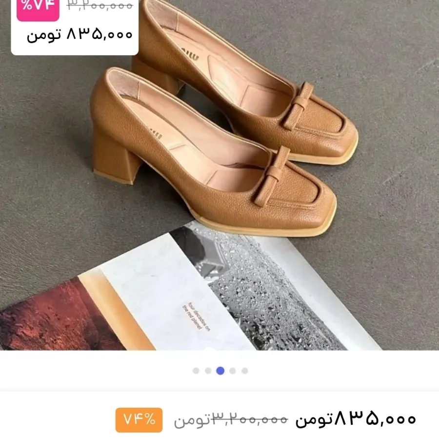 کفش مجلسی