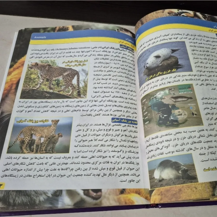 کتاب دایره المعارف