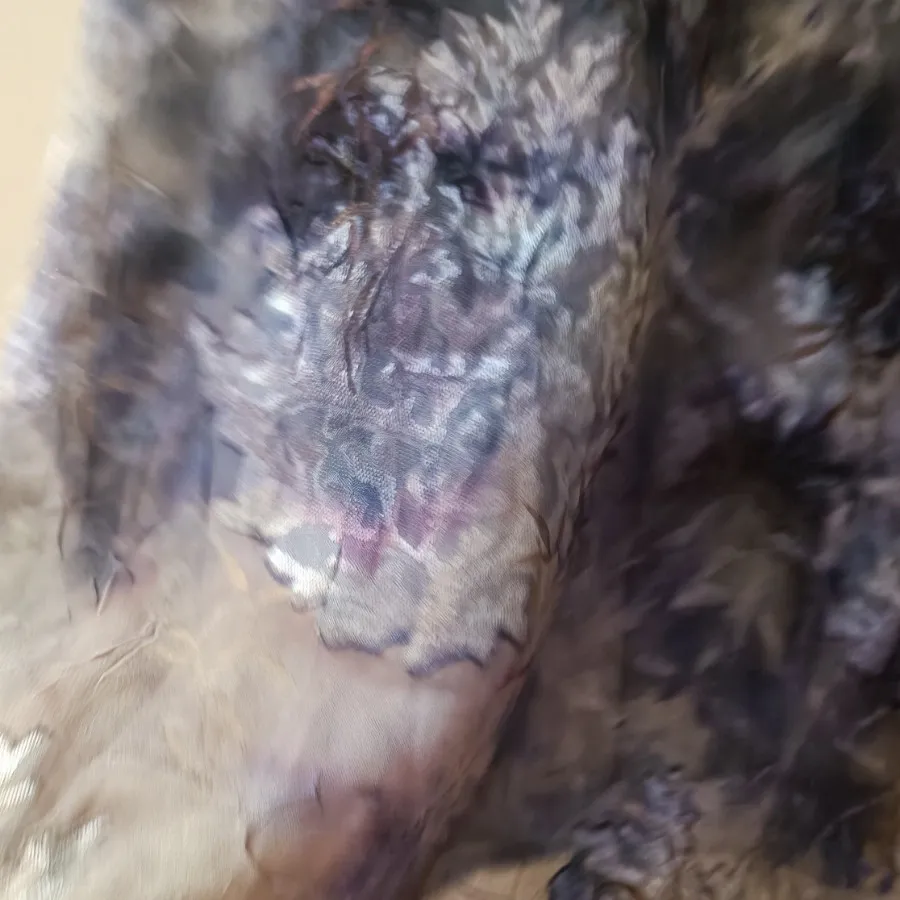 شومیز
