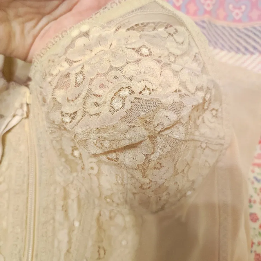 گن مجلسی