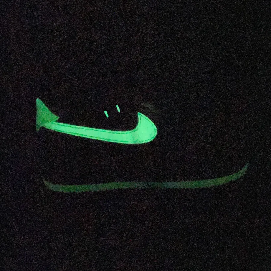 کفش نایک