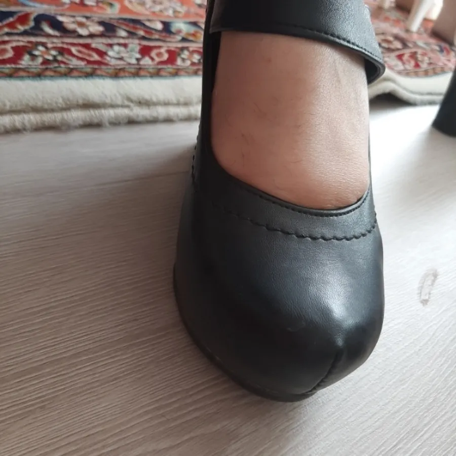 کفش مجلسی