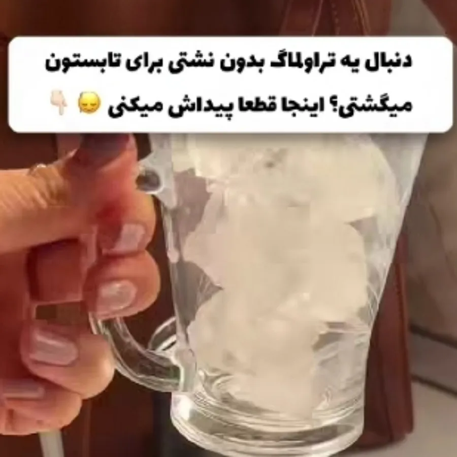 تراول ماگ