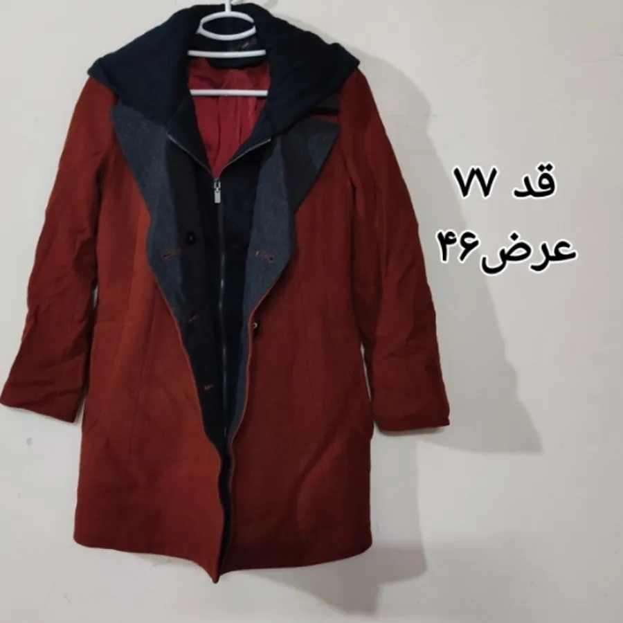 پالتو