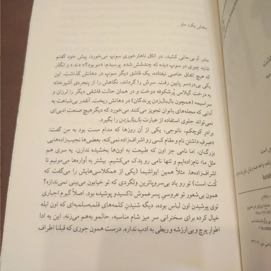 شایو