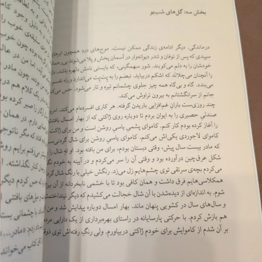 شایو