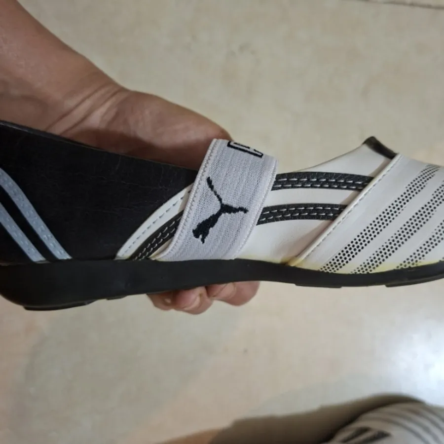کفش کژوال
