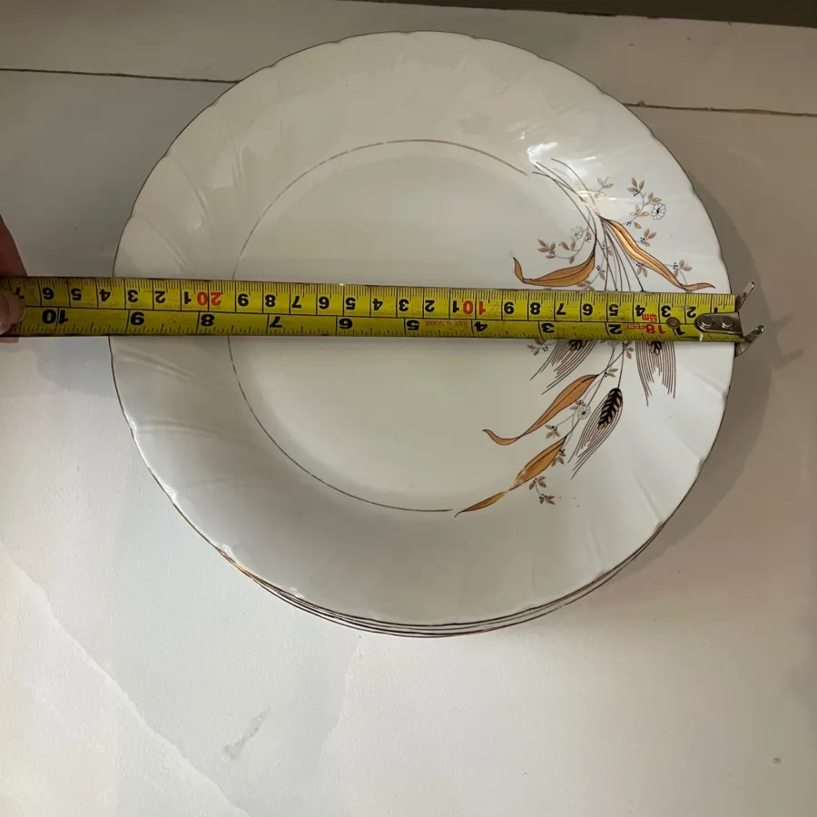 بشقاب پلو خوری طرح گندم