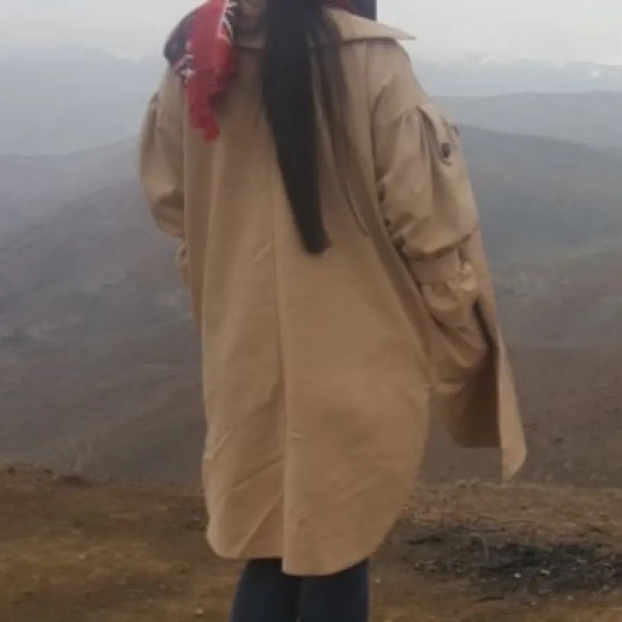 بارونی ترک