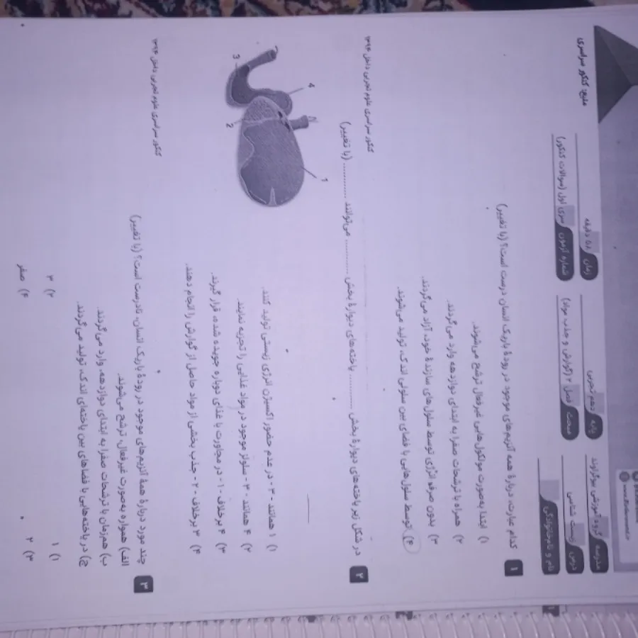 جزوه های کنکور تجربی