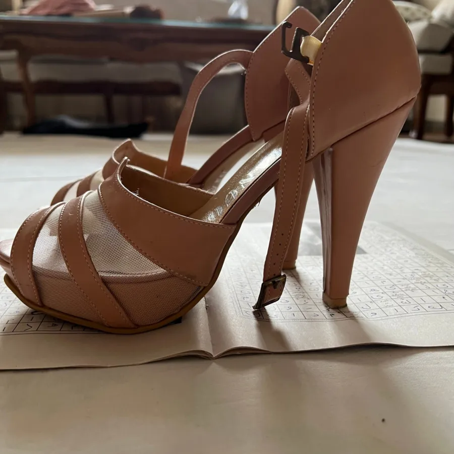 کفش مجلسی