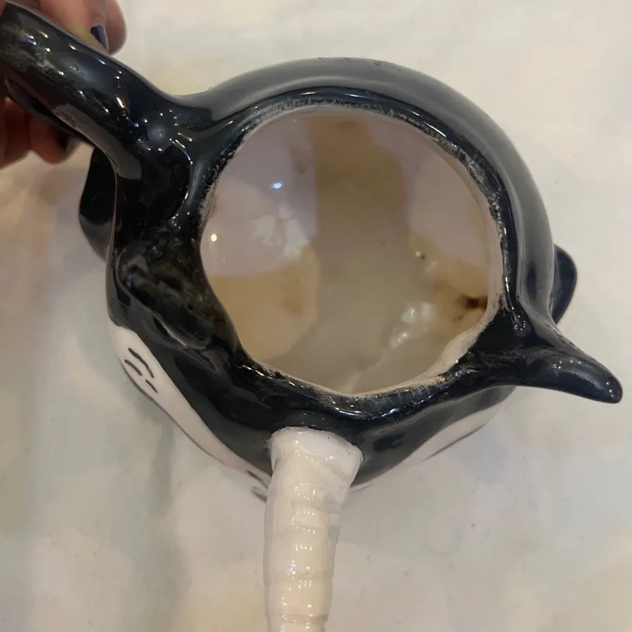 ماگ گربه