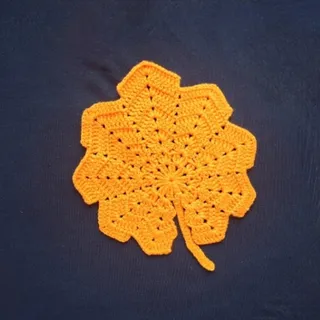 زیر ماگی