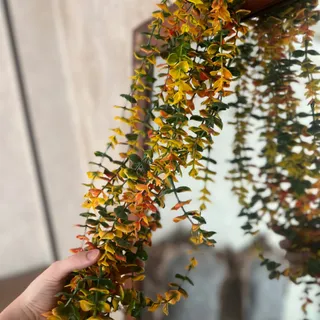 گل مصنوعی