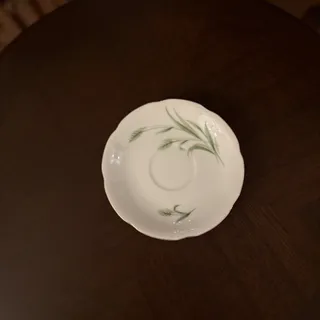 نعلبکی دیوار کوب