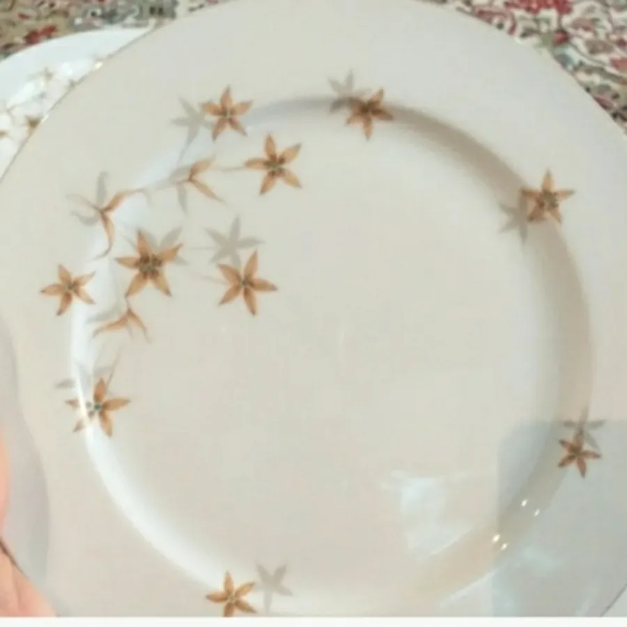 پلو خوری قدیمی ژاپنی