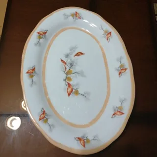 دیس گل کاجی