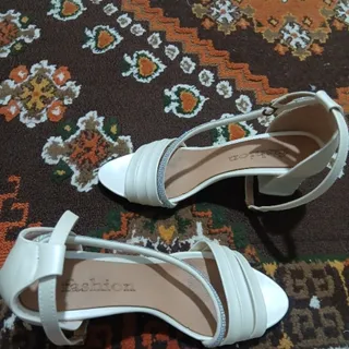 کفش مجلسی