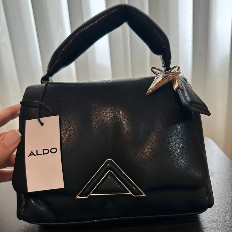 کیف ارجینال Aldo