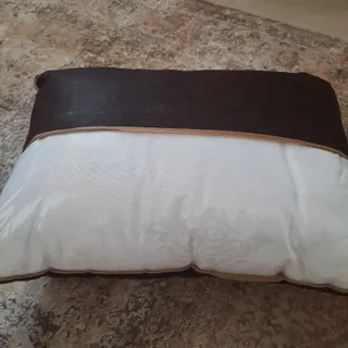 بالش
