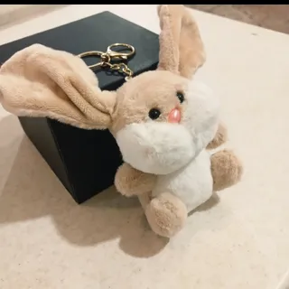 جاسیوچی خرگوش تپل