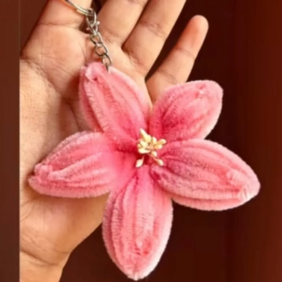 جاسویچی