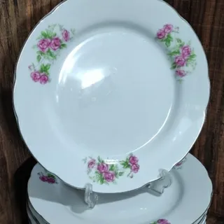 بشقاب گل سرخی