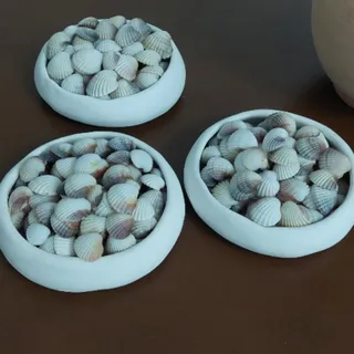 صدف