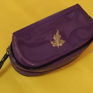 کیف دستی