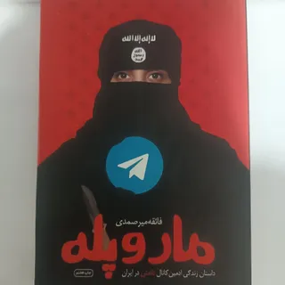کتاب مار و پله
