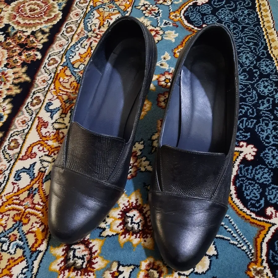 کفش مجلسی