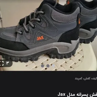 کفش کوهنوردی