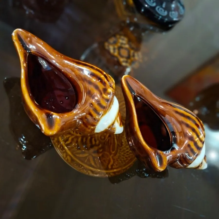 دو عدد صدف تزیینی