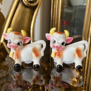 نمکپاش چینی