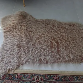 پادری