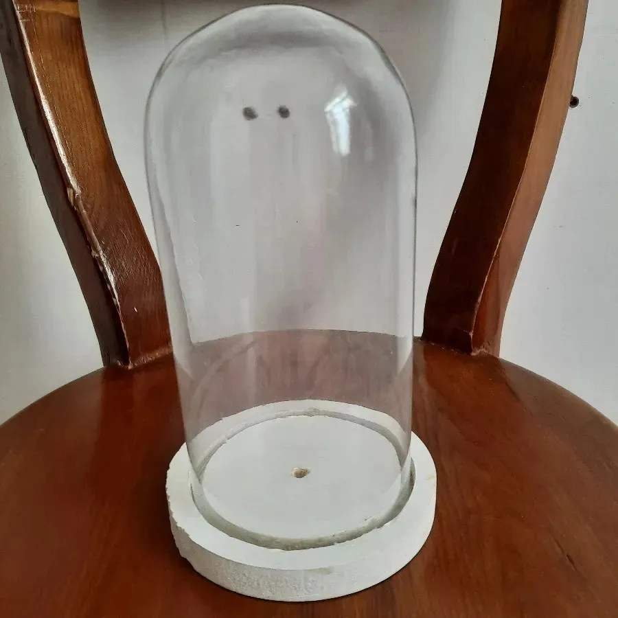 گل رز جاودان