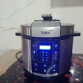 زودپز برقی