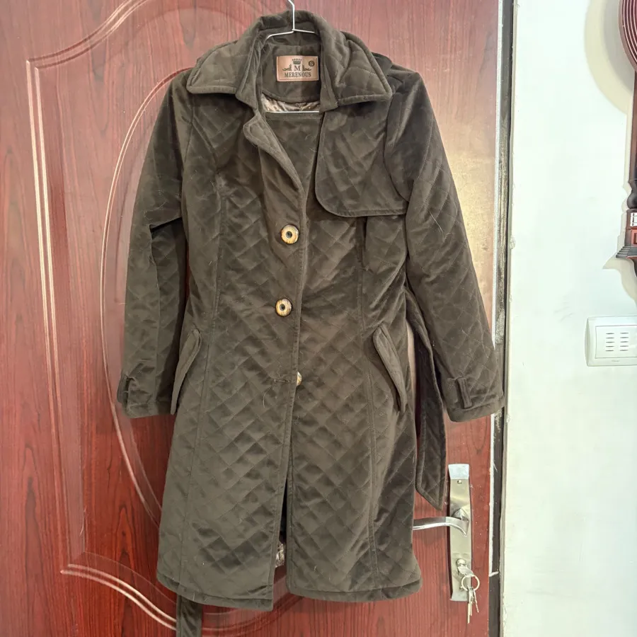 پالتو