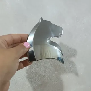 آرم جلو پنجره تارا