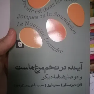 کتاب آینده در تخم مرغ ها