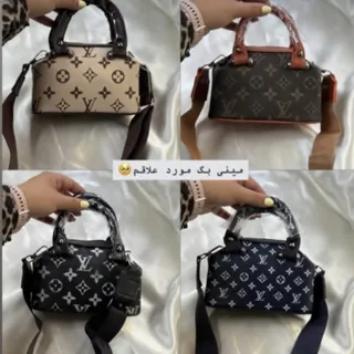 مینی بگ