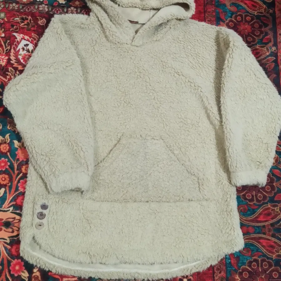 هودی نو