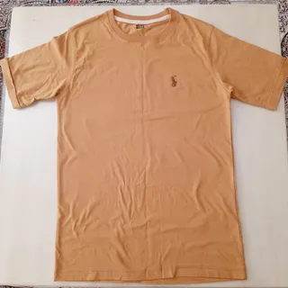 تیشرت مردانه طرح polo