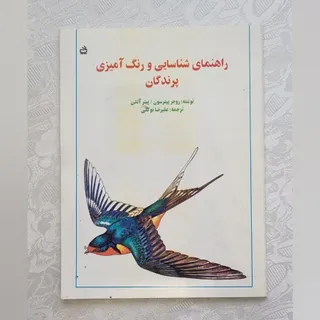 کتاب نقاشی