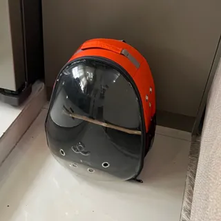 کیف کوله حمل حیوانات