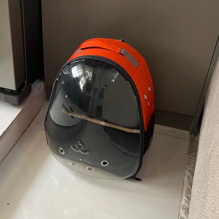 کیف کوله حمل حیوانات