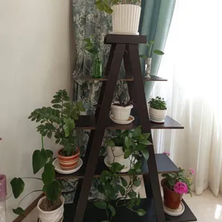 کتابخانه یا شلف گل