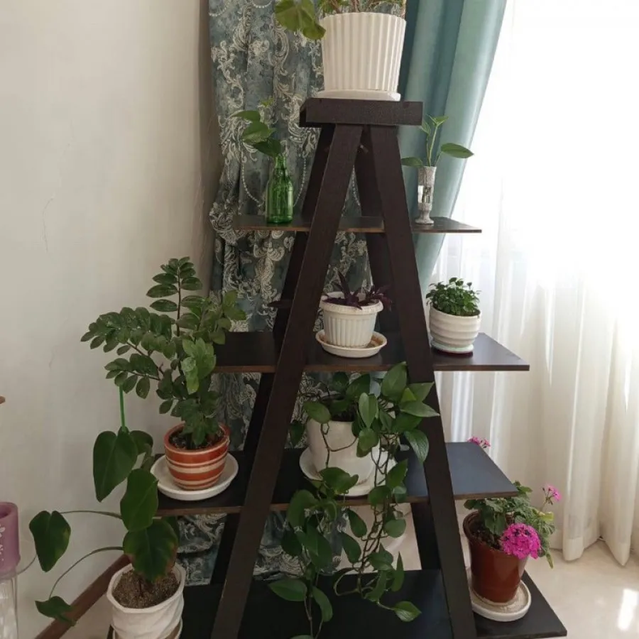 کتابخانه یا شلف گل