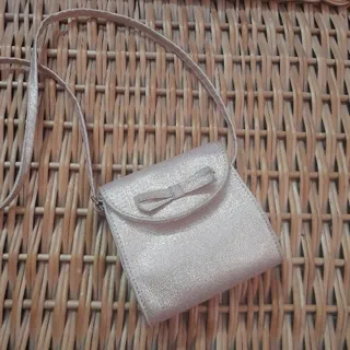 کیف کوچک